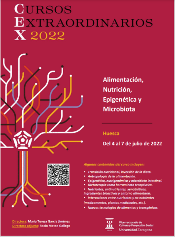 Cartel del Curso