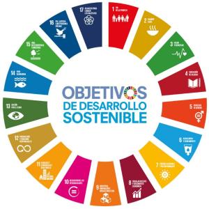 Objetivos de Desarrollo Sostenible
